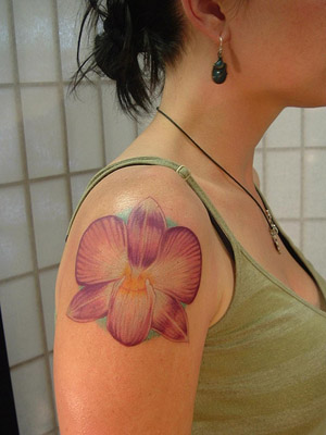 lotus flower tattoo meanings. fairy tattoo stencils a great