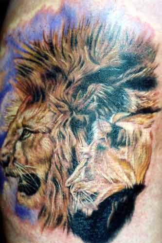 Lion Tattoos | Leo, Tribal, Head, Chinese, Lion Of Judah …